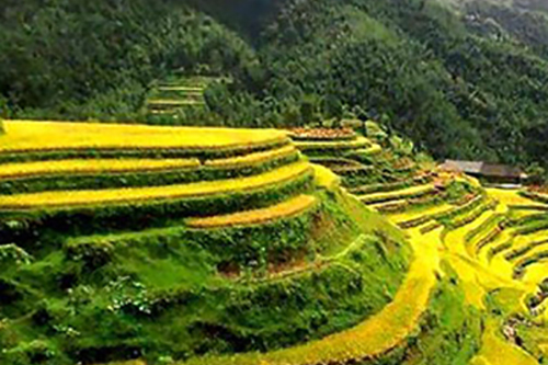 Banglore -Ooty